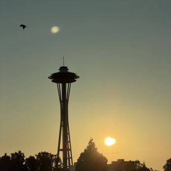 1 Hotel Seattle - Hotels Near Me - Seattle, Washington