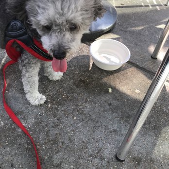 Barnaby's Cafe - Complimentary water bowls for the pups. Dog friendly patio. - American Near Me - Houston, Texas