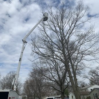 Redwood Landscape - Tree Services Near Me - Thorntown, Indiana Redwood Landscape - Tree Services Near Me - Thorntown, Indiana
