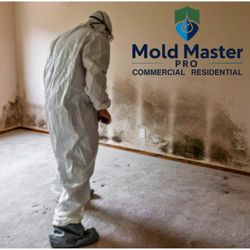 Mold Master Pro