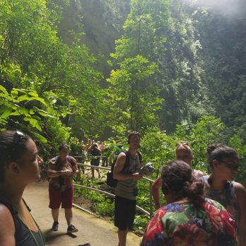 Parque Nacional de las Cavernas del Rio Camuy - Parks Near Me - Quebrada, Puerto Rico