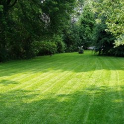 Greener Lawn Care