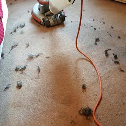 Premier Carpet Care & Water Damage Restoration