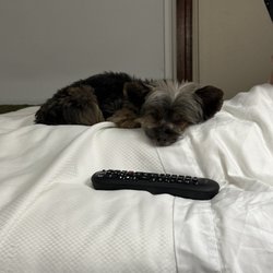Someone is tired.