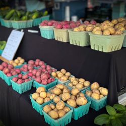 Boyne City Farmers Market