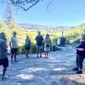 Curated Winery Tours - Pasterick - Wine Tours Near Me - Oakland, California Curated Winery Tours - Pasterick - Wine Tours Near Me - Oakland, California