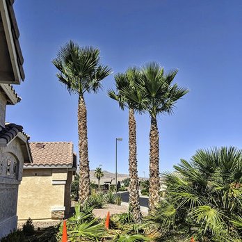 Outdoor Systems Management - Palm tree trimming & skinning available. Certified Arborist - Landscaping Near Me - Phoenix, Arizona Outdoor Systems Management - Palm tree trimming & skinning available. Certified Arborist - Landscaping Near Me - Phoenix, Arizona