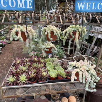 Santos Garden - Nurseries & Gardening Near Me - Fallbrook, California Santos Garden - Nurseries & Gardening Near Me - Fallbrook, California