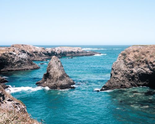 Mendocino Headlands State Park by null