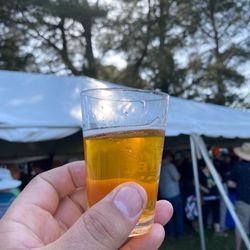 Boonville Beer Fest - Beer