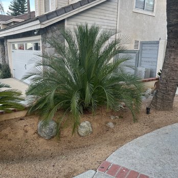 Eder Tree Service and Lawn Maintenance - Tree Services Near Me Eder Tree Service and Lawn Maintenance - Tree Services Near Me