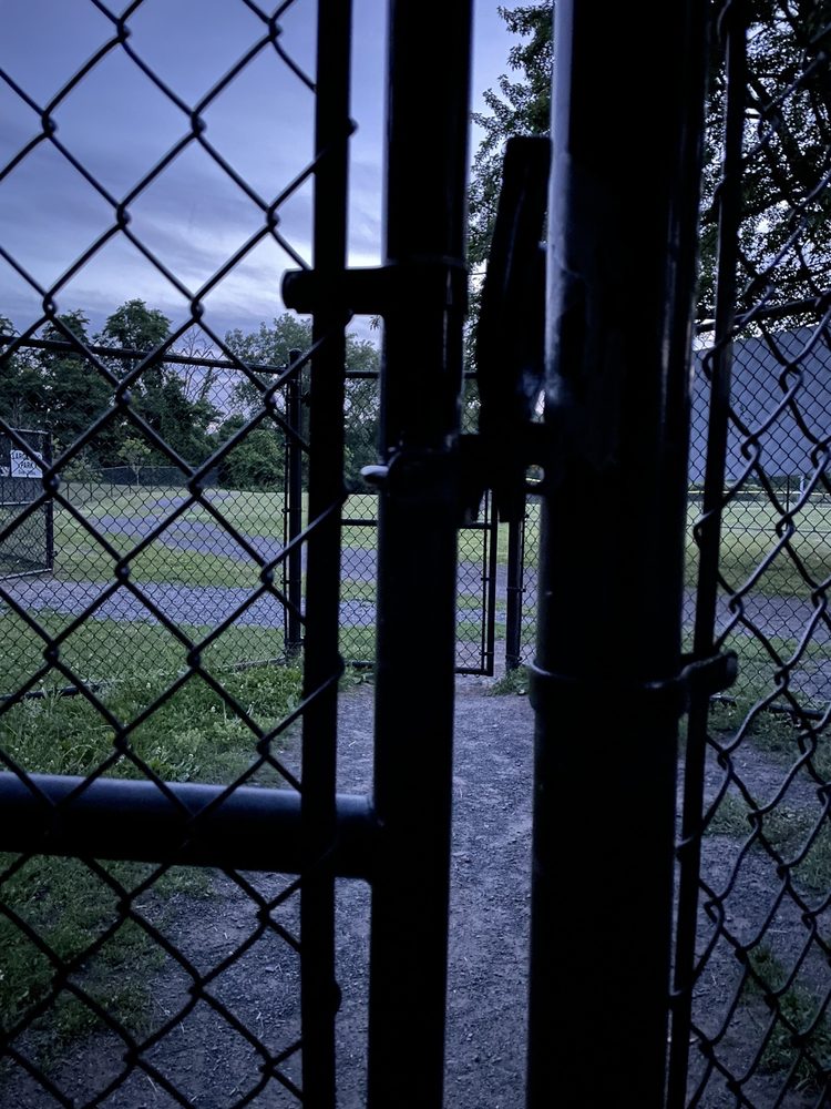 KINGSTON POINT DOG PARK Updated October 2024 41 Delaware Ave