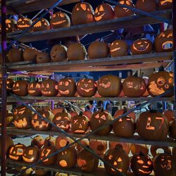 The Great Highwood Pumpkin Festival