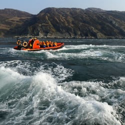 Seafari Adventures