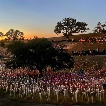 Sensorio - Field of lights - Art Galleries Near Me - Paso Robles, California Sensorio - Field of lights - Art Galleries Near Me - Paso Robles, California