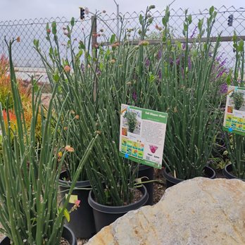 Garden View Nursery - Nurseries & Gardening Near Me - Irwindale, California Garden View Nursery - Nurseries & Gardening Near Me - Irwindale, California
