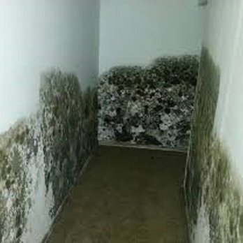 Servpro - Mold, we can get that taken care of. - Home Cleaning Near Me - Midland, Texas Servpro - Mold, we can get that taken care of. - Home Cleaning Near Me - Midland, Texas