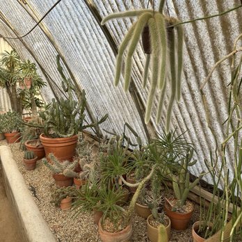 MOORTEN BOTANICAL GARDEN - Updated June 2026 - 1828 Photos & 326 Reviews -  1701 S Palm Canyon Dr, Palm Springs, California - Nurseries & Gardening -  Phone Number - Yelp