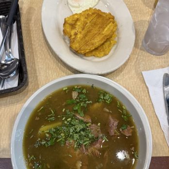 Mi Tierra Latina - Beef stew small with 2 sides: egg and tostones - Colombian Near Me - Tampa, Florida Mi Tierra Latina - Beef stew small with 2 sides: egg and tostones - Colombian Near Me - Tampa, Florida