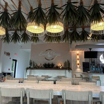 Luna Playa - Mexican Near Me - Winston-Salem, North Carolina