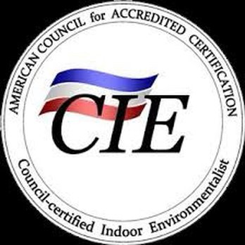 Madison Taylor Indoor Environmental - Mold Inspection & Mold Removal certified - Home Inspectors Near Me Madison Taylor Indoor Environmental - Mold Inspection & Mold Removal certified - Home Inspectors Near Me