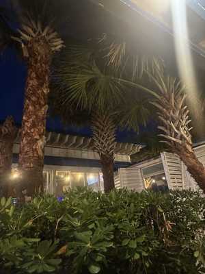 SeaWitch Cafe & Tiki Bar by null