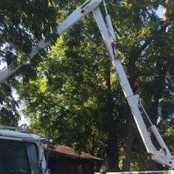 Arbor Pro Tree Service - We provide consultations on process of determining the level of risk posed by a tree or group of trees on a property.