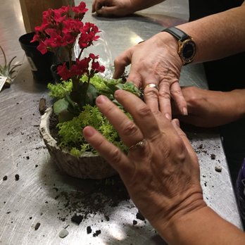 AZ Florist - Making a dish garden - Florists Near Me - Phoenix, Arizona