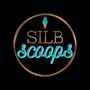 Photo of Silb Scoops