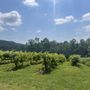 Photo of Ellijay Excursions