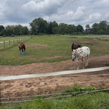 La Finca NJ - Horses along the tour path. - Horseback Riding Near Me - Whitehouse Station, New Jersey La Finca NJ - Horses along the tour path. - Horseback Riding Near Me - Whitehouse Station, New Jersey