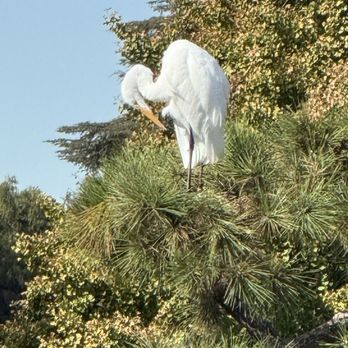 The Japanese Garden - Botanical Gardens Near Me - Van Nuys, California