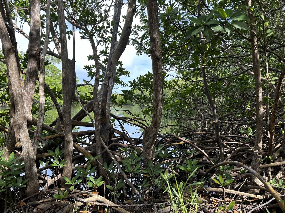 Oleta River State Park Image