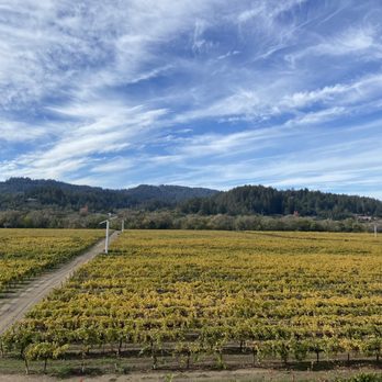 Wilson Winery - Wineries Near Me - Healdsburg, California Wilson Winery - Wineries Near Me - Healdsburg, California