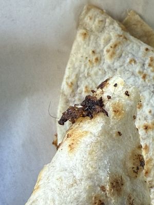 Blondies Bagels & Cafe by null