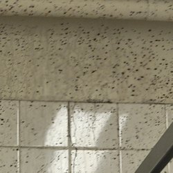 George Washington Carver School of Arts and Science - School bathroom contains mistery substance on pipe and wall