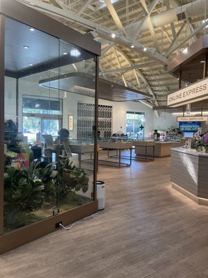 Root'd In The 510 Equity Weed Dispensary by null