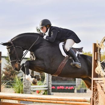 Breakaway Farms - Horseback Riding Near Me - Reno, Nevada Breakaway Farms - Horseback Riding Near Me - Reno, Nevada