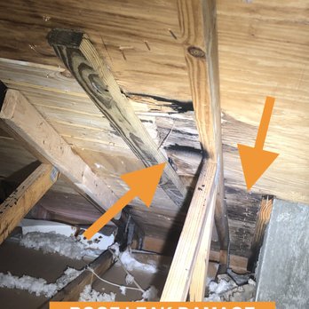 Truview Inspections - Home Inspectors Near Me - Miami, Florida Truview Inspections - Home Inspectors Near Me - Miami, Florida
