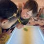 Photo of First Presbyterian Nursery School