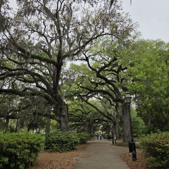 Forsyth Park - Parks Near Me - Savannah, Georgia Forsyth Park - Parks Near Me - Savannah, Georgia