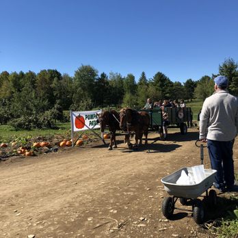 Treworgy Family Orchards - Ice Cream & Frozen Yogurt Near Me - Levant, Maine Treworgy Family Orchards - Ice Cream & Frozen Yogurt Near Me - Levant, Maine