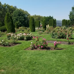 Rose garden! Rose garden!