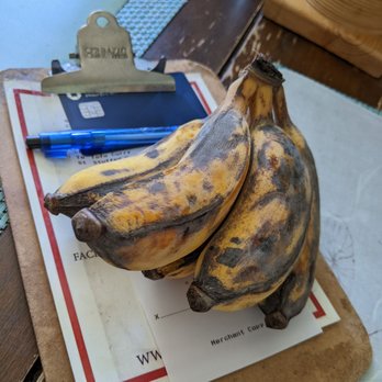 The Red Dot Vegetarian Kitchen - Complimentary bananas! Don't be fooled by the outside, they're delicious! - Vegetarian Near Me - Frazier Park, California The Red Dot Vegetarian Kitchen - Complimentary bananas! Don't be fooled by the outside, they're delicious! - Vegetarian Near Me - Frazier Park, California