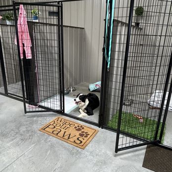 Hatters K9 Casa - Pet Boarding Near Me - Chapmansboro, Tennessee Hatters K9 Casa - Pet Boarding Near Me - Chapmansboro, Tennessee
