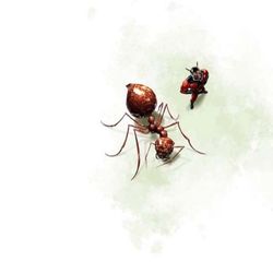 Slabbs - Ant Man!