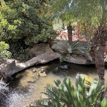 Glen Ivy Hot Springs - Hot Springs Near Me - Temescal Valley, California