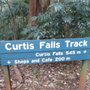 Photo of Curtis Falls