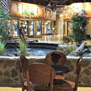 Java Manjaro - Kalahari Lobby pond with Great Blue Herons and alligator, sound of running water. - Coffee & Tea Near Me - Wisconsin Dells, Wisconsin Java Manjaro - Kalahari Lobby pond with Great Blue Herons and alligator, sound of running water. - Coffee & Tea Near Me - Wisconsin Dells, Wisconsin