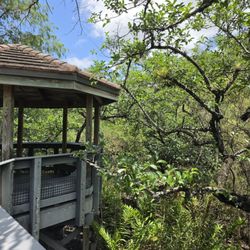 Tall Cypress Natural Area - One of the covered pavilions